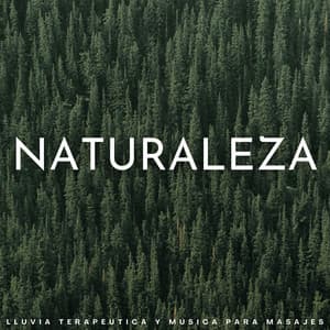 Naturaleza: Lluvia Terapéutica Y Música Para Masajes - Juegos de lluvia