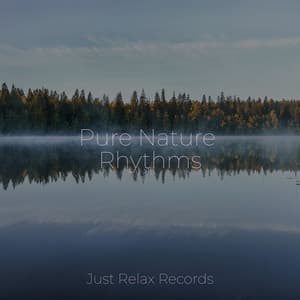Pure Nature Rhythms - Lullabies for Deep Meditation