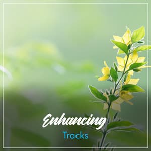 Lost in the Haze - Pale Ember