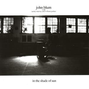 In the Shade of Sun - John Blum