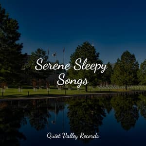 Serene Sleepy Songs - Avslappning Sound