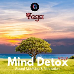 Mind Detox , Vol.9 - Mind Detox