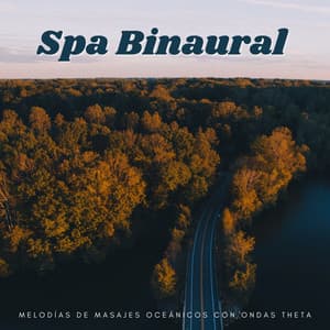 Spa Binaural: Melodías De Masajes Oceánicos Con Ondas Theta - Spa de ritmos binaurales