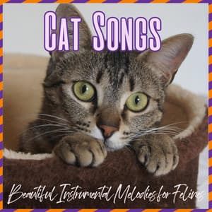 Cat Songs - Beautiful Instrumental Melodies for Felines - Cat Music Zone