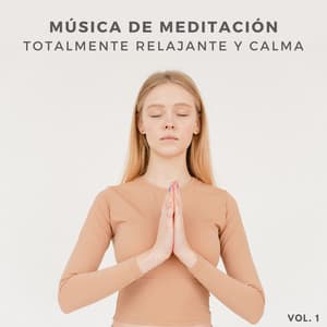 Música De Meditación Totalmente Relajante Y Calma Vol. 1 - Nosotros la meditación