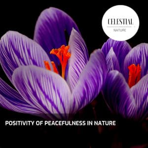 Positivity of Peacefulness in Nature - Nature Radiance