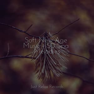 Soft New Age Music - 50 Spa Melodies - Relaxamento