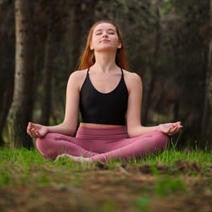 Meditation Harmony in Twilight: Insect Serenade with Peaceful Nature - The Meditations