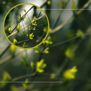 Background Music - Luxury Jazz Radio