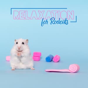 Relaxation for Rodents: Calming Music for Rats, Hamsters, Chinchillas, Guinea Pigs - Relaxation - Ambient