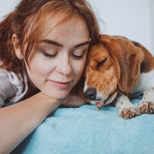 Lofi Pet Comforts: Melodic Furry Lullabies - LO-FI BEATS