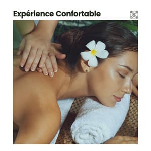 Expérience Confortable - Musique Relaxante et Détente