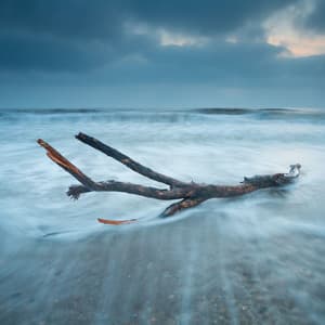 Driftwood Piano Lounge Day Dreams - Jazz Music Zone