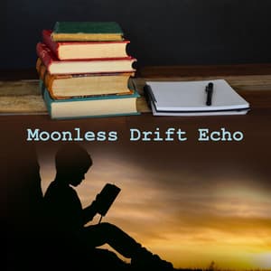 Moonless Drift Echo - Japanese Relaxation and Meditation