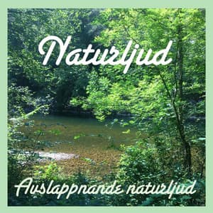 Avslappnande Naturljud - Naturljud