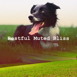 Restful Muted Bliss - Relaxing Dogs