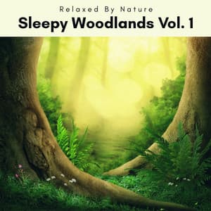 2022 Sleepy Woodlands Vol. 1 - Natural Woodland Sounds