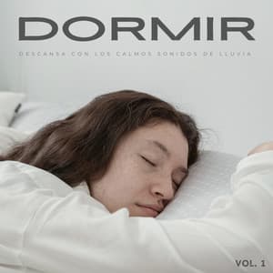 Dormir: Descansa Con Los Calmos Sonidos De Lluvia Vol. 1 - Musica Para Dormir