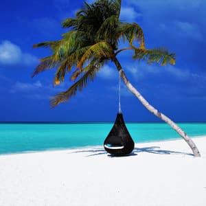 My Home | Chakra Balance Meditation, Green Forest - Pro Sounds of Nature