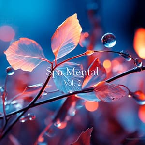 Spa Mental Vol. 2 - Concentracíon