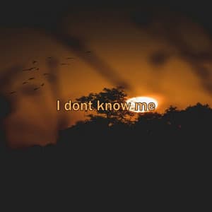 I dont know me - Lofi Hip-Hop Music