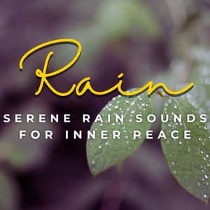 Raindrop Meditations: Serene Rain Sounds for Inner Peace - Rain Sounds ACE