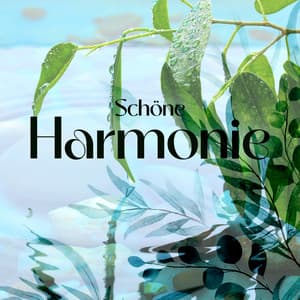 Schöne Harmonie: Wasserfall für Spa und Ruhige Musik zum Runterkommen - Spa Musik Sammlung