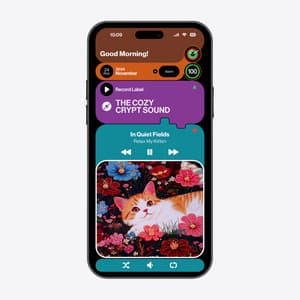 In Quiet Fields - Relax My Kitten