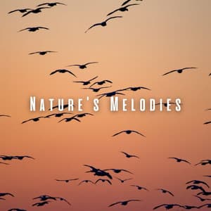 Nature's Melodies: Bird Songs and Chill Music for Massage Bliss - Bird Sound Collectors