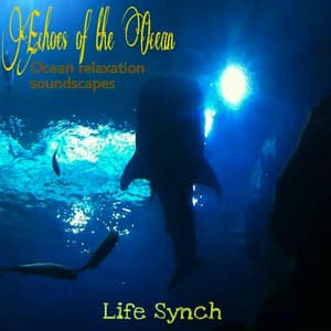 Echoes of the Ocean - Life Sync