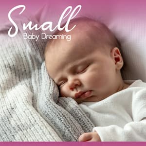 Small Baby Dreaming – Gentle Bed Time Music, Lovely Solace - Baby Sweet Dream