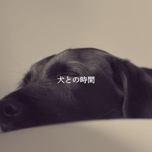 犬との時間 - Restaurante Clásico Jazz