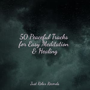50 Peaceful Tracks for Easy Meditation & Healing - Yoga Music