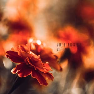 Zone Of Nostalgia - Axelites