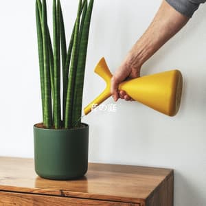 音の庭 - Jazz Office