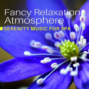 Fancy Relaxation Atmosphere - Serenity Spa Music Zone