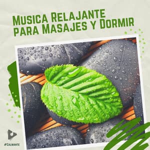 Música Relajante para Masajes y Dormir - #Calmante