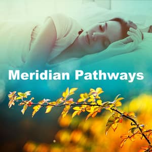 Meridian Pathways - Chinese Relaxation and Meditation