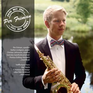 Från det ena till det andra - Per Friman