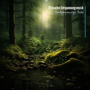 Ultimative Entspannungsmusik: Perfekt zur Linderung von Stress und Angst - Entspannungs Echo