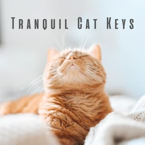 Tranquil Cat Keys: Reflective Piano Melodies for Kitty Contentment - Vincent & A Secret