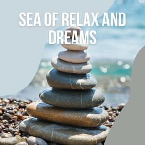 1 Sea of Relax and Dreams vol. 3 - Seashore Waves