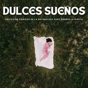 Dulces Sueños: Pacíficos Sonidos De La Naturaleza Para Dormir La Siesta - Musica Para Dormir y Sonidos de la Naturaleza