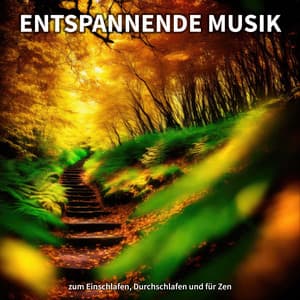 Entspannende Musik zum Einschlafen, Durchschlafen und für Zen - Entspannungsmusik