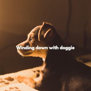 Winding down with doggie - Música de Trabajo De Lujo