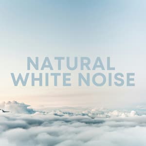 Natural White Noise - White Noise Radiance