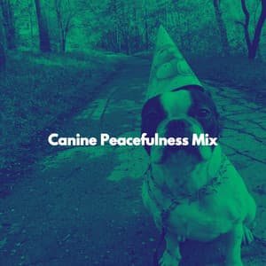Canine Peacefulness Mix - Klassischer Jazz