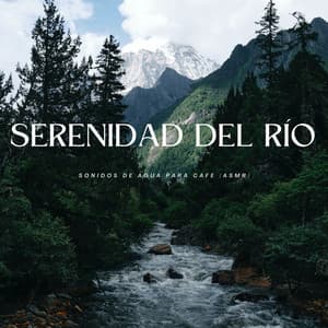 Serenidad Del Río: Sonidos De Agua Para Café - Sonidos relajantes del agua