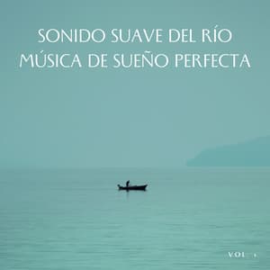 Sonido Suave Del Río Música De Sueño Perfecta, Vol. 1 - Efectos de agua