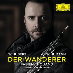 Der Wanderer - Fabien Thouand